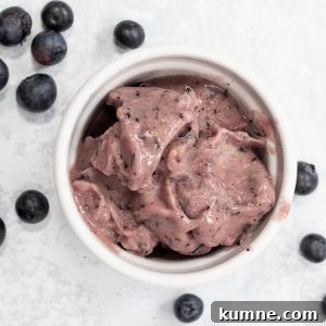 Blender Banana Blueberry Nice Cream: Creamy Frozen Dessert in Minutes 8 blueberry nice cream in a bowl with blueberries next to it