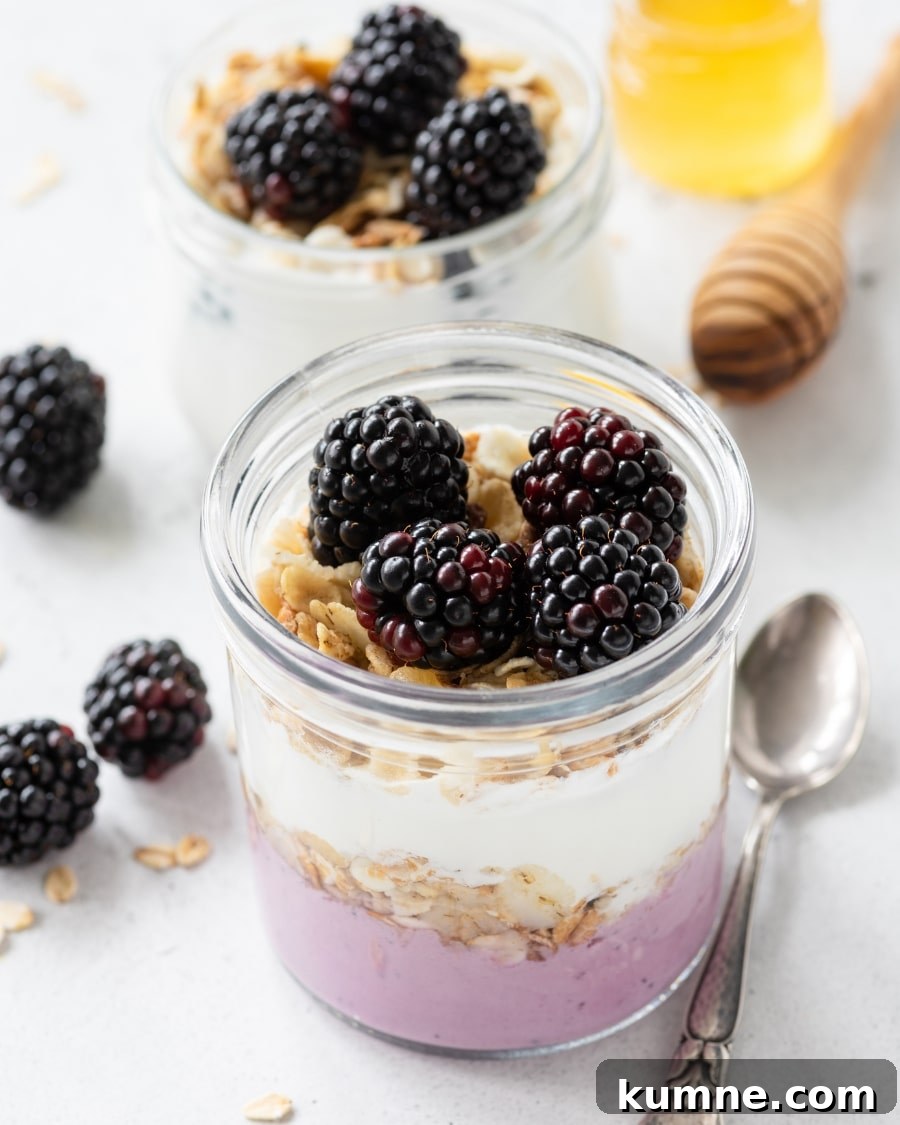 High Protein Overnight Oats Recipes including blackberries