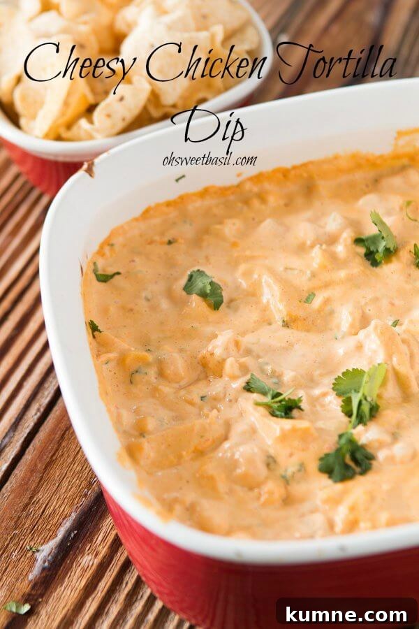 Cheesy Chicken Tortilla Queso Dip is pretty much begged for on every game day ohsweetbasil.com Cheesy Chicken Tortilla Queso Dip is pretty much begged for on every game day ohsweetbasil.com