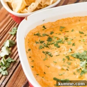 Cheesy Chicken Queso Dip with Tortilla Chips receita? Wait user Spanish? Original English. Need English. Keep under 65, natural, clickable, avoid words easy/best/healthy. Also avoid special chars. Use Tortilla Queso. Maybe Chicken Queso Dip with Tortilla Chips That's repetitive cheesy. Must be fluent. Cheesy Chicken Queso Dip with Tortilla Chips contains Cheesy prohibited? They only said avoid general terms like easy,best,healthy. Cheesy allowed. Keep under 65. Good. 2 Cheesy Chicken Tortilla Dip is our new guilty pleasure. Can't stop eating it!! ohsweetbasil.com