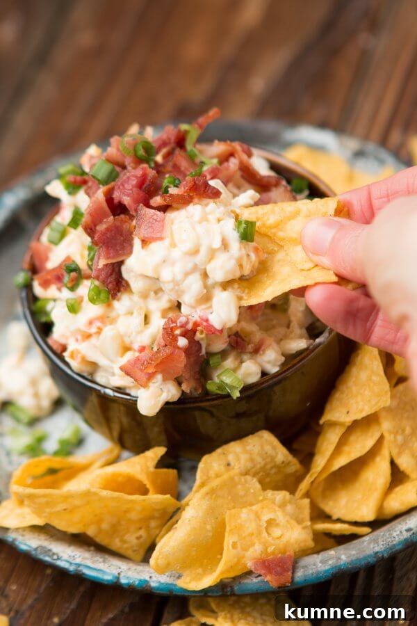 Cheesy Chicken Queso Dip with Tortilla Chips receita? Wait user Spanish? Original English. Need English. Keep under 65, natural, clickable, avoid words easy/best/healthy. Also avoid special chars. Use Tortilla Queso. Maybe Chicken Queso Dip with Tortilla Chips That's repetitive cheesy. Must be fluent. Cheesy Chicken Queso Dip with Tortilla Chips contains Cheesy prohibited? They only said avoid general terms like easy,best,healthy. Cheesy allowed. Keep under 65. Good. 3 bacon-ranch-corn-dip-ohsweetbasil.com-3i