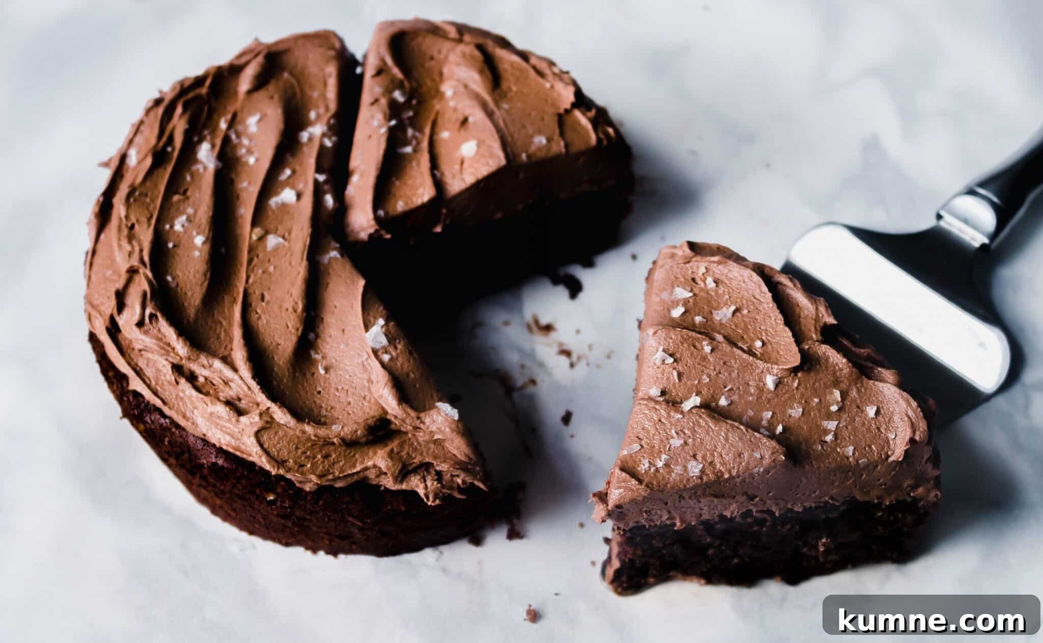 Easy Mini Chocolate Cake Recipe | Chenée Today