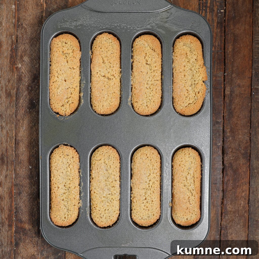 A metal baking pan holds eight golden-brown, rectangular sponge cakes—homemade Twinkies—freshly baked and still in their molds.