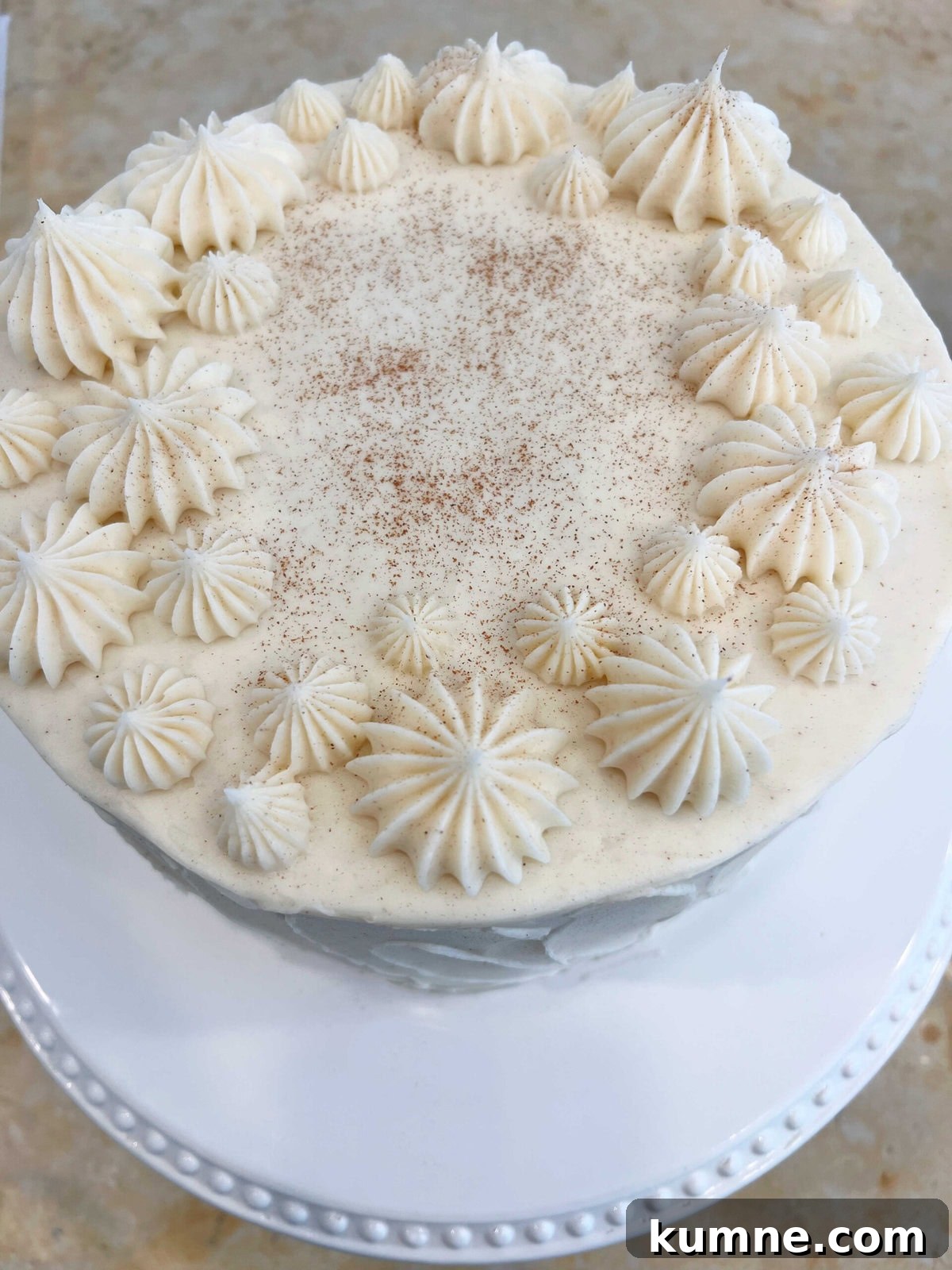 Ultimate Cinnamon Cake Recipe for Moist, Spiced Perfection 5 Top view of cinnamon cake with cinnamon piping on top.
