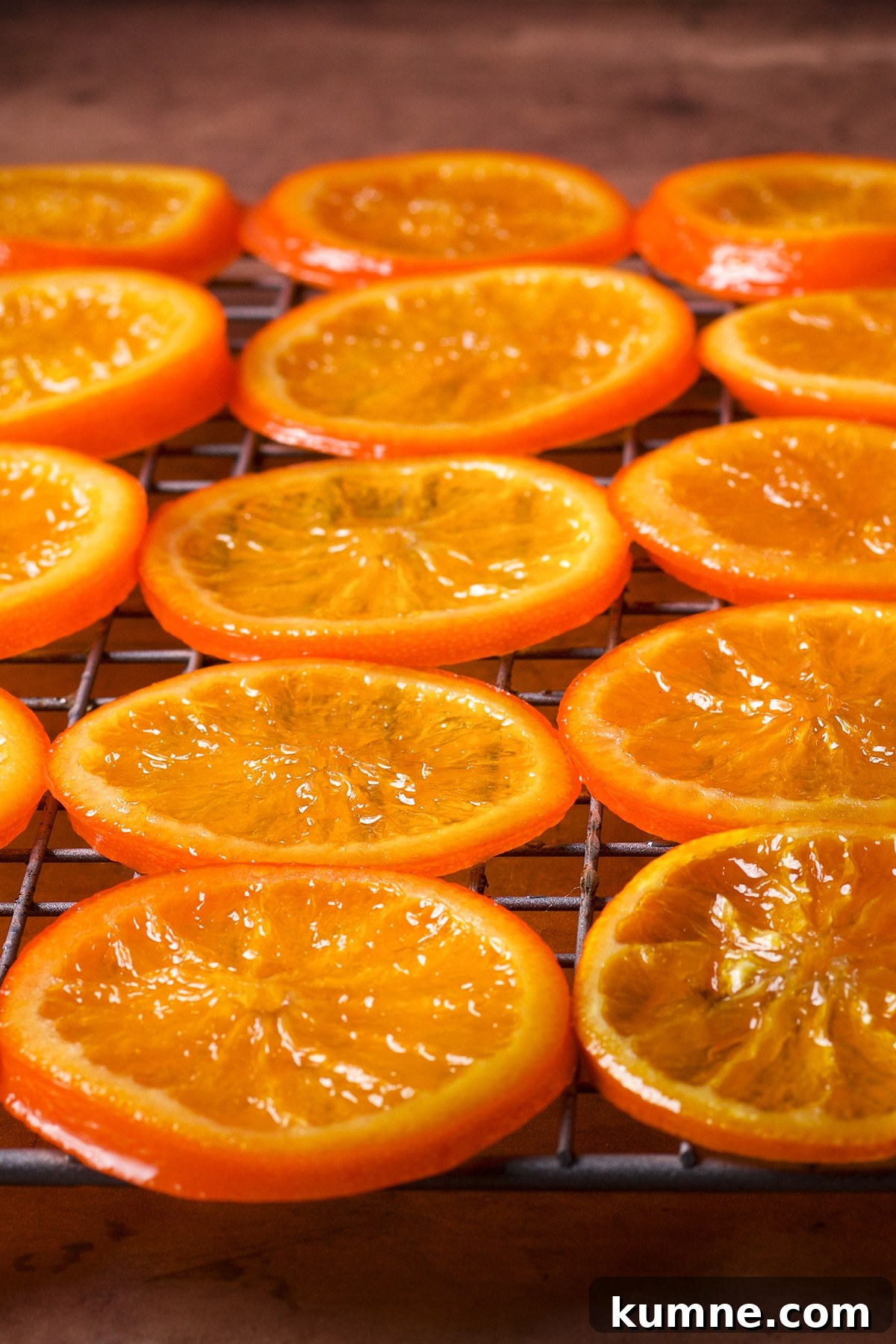 Candied orange slices drying on a wire rack.