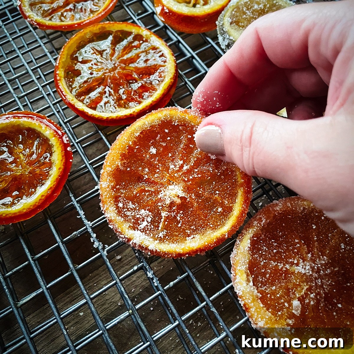 Placing a candied orange slice that's been dipped in sugar on a wire rack.