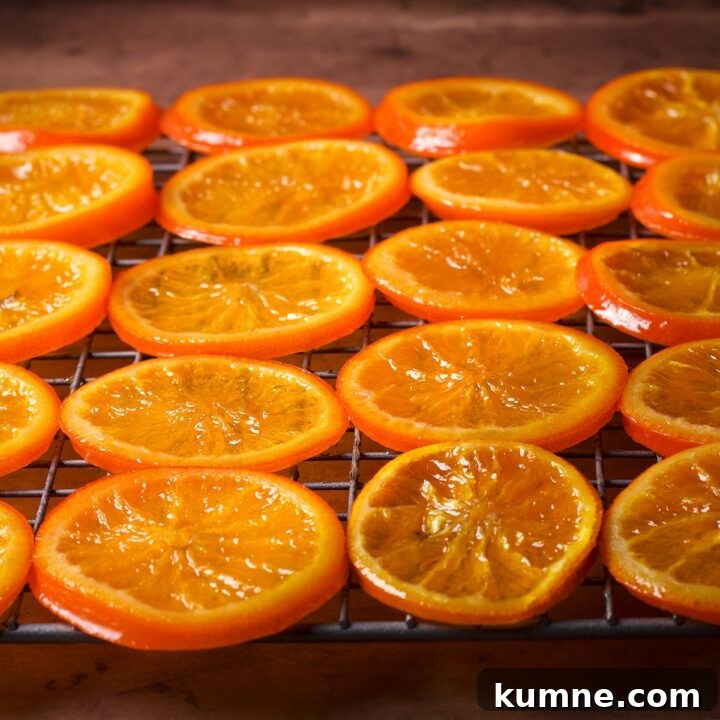 Candied orange slices drying on a wire rack.