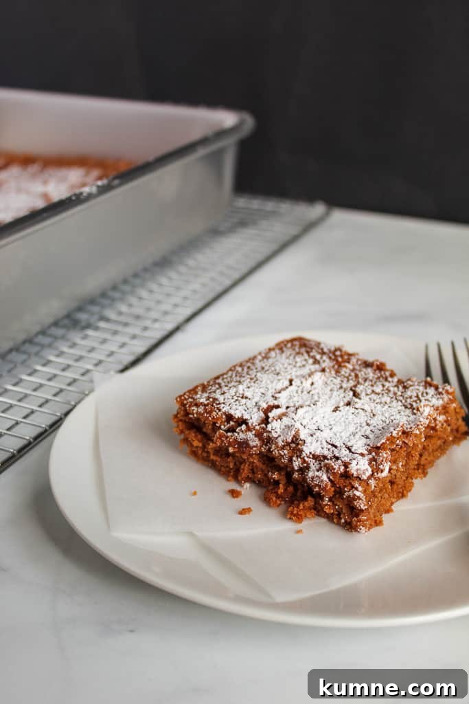 Light, Tender Gluten-Free Gingerbread Recipe for Moist Flavor 2 gluten free gingerbread sitting on a white plate