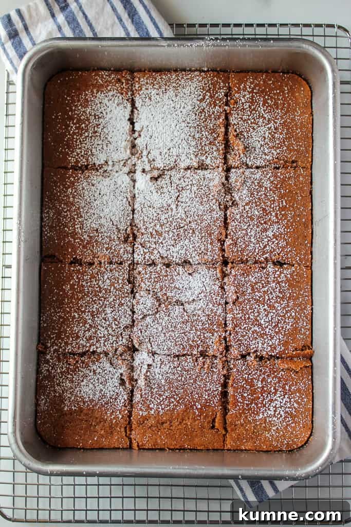 Light, Tender Gluten-Free Gingerbread Recipe for Moist Flavor 7 gluten free gingerbread in a baking pan