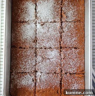 Light, Tender Gluten-Free Gingerbread Recipe for Moist Flavor 8 gluten free gingerbread in a baking pan