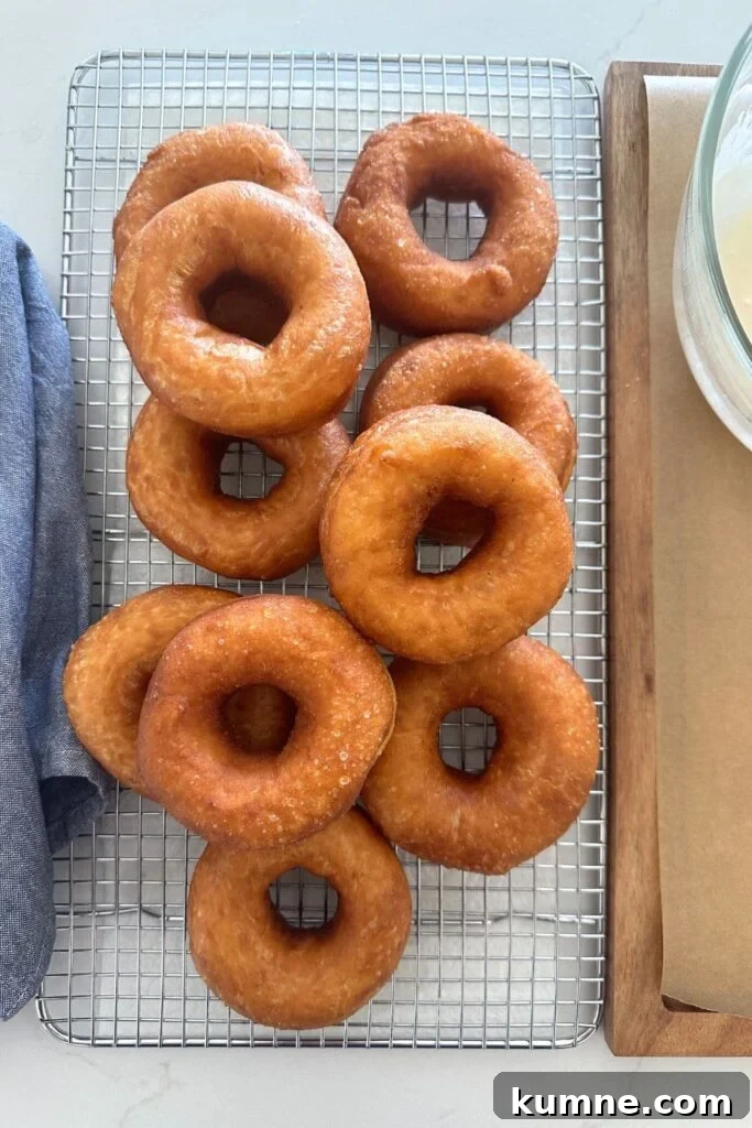 A batch of fried sourdough donuts sitting on a wire cooling rack ready to be dipped in vanilla glaze.
