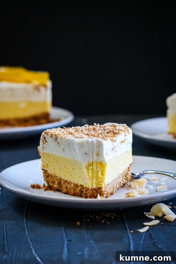 Coconut Mango Ice Cream Pie Recipe — Creamy Tropical No-Bake Dessert 2 coconut-mango Ice cream pie