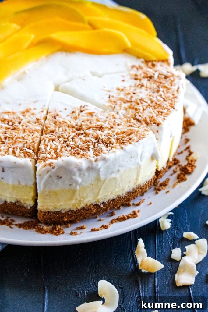 Coconut Mango Ice Cream Pie Recipe — Creamy Tropical No-Bake Dessert 3 coconut-mango Ice cream pie