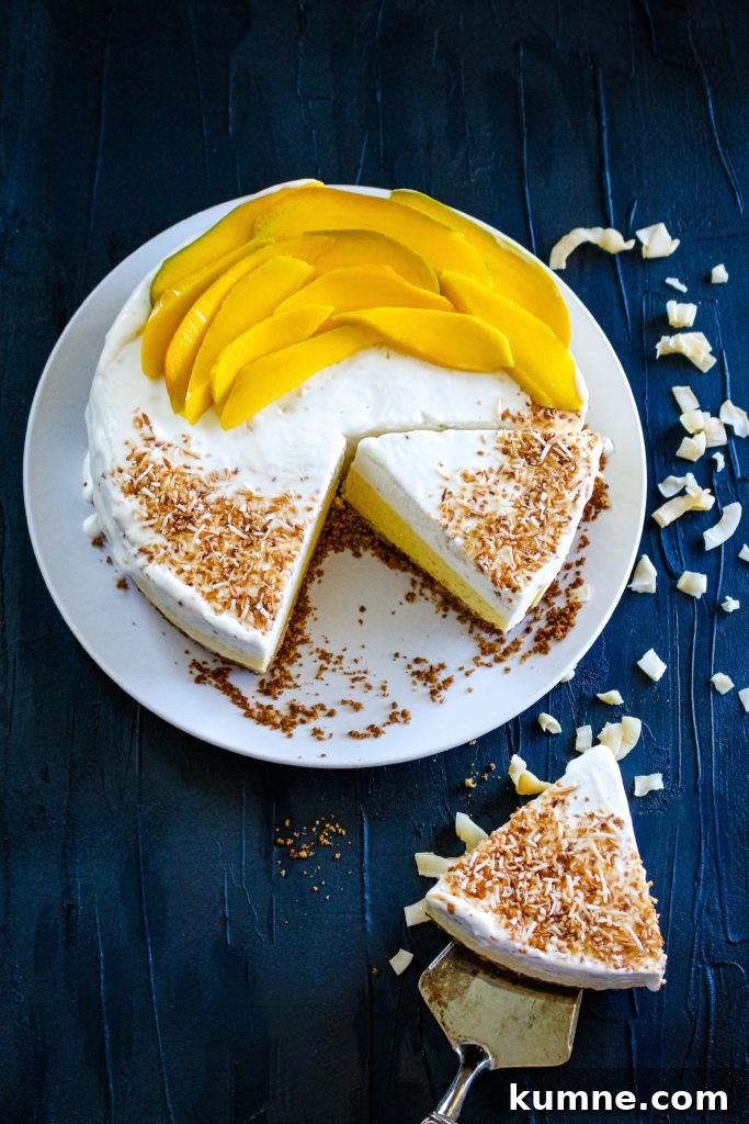 Coconut Mango Ice Cream Pie Recipe — Creamy Tropical No-Bake Dessert 5 coconut-mango Ice cream pie