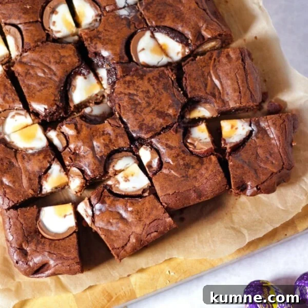 No-Bake Creme Egg Cheesecake Recipe for Spring Treat 4 Creme Egg Brownies cut into squares topped with chocolate creme eggs cut in half