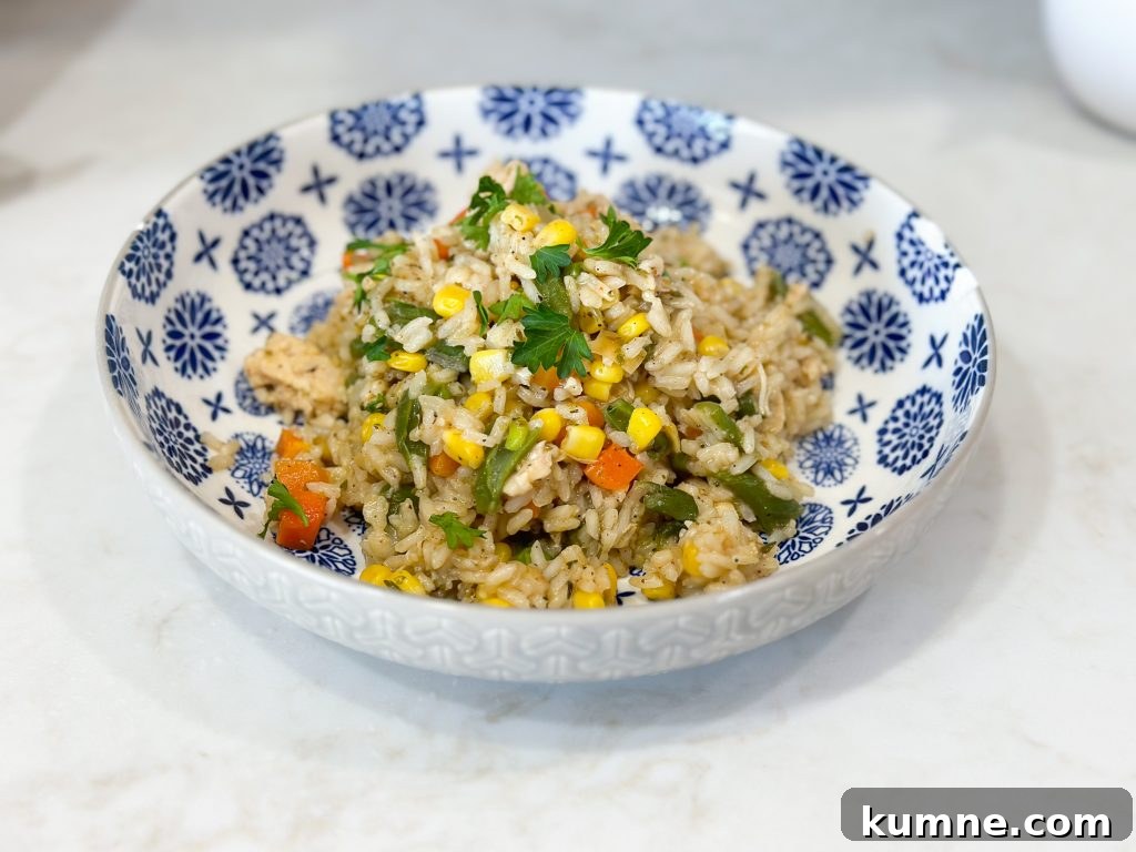 Extreme budget dollar dinners rice and chicken skillet