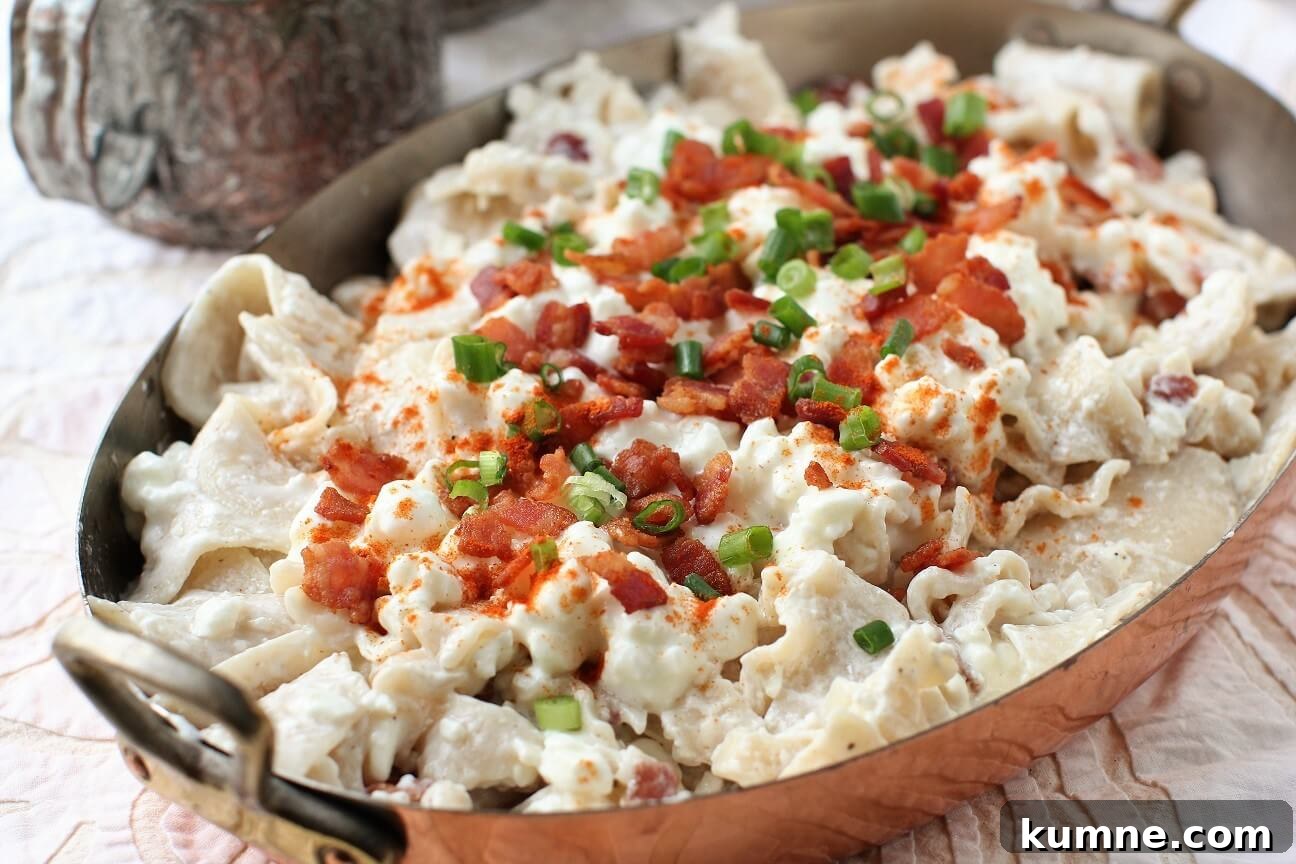 Túrós Csusza Recipe: Traditional Hungarian Cottage Cheese Pasta 8 horizontal view of Turos Csusza (Túrós Csusza)