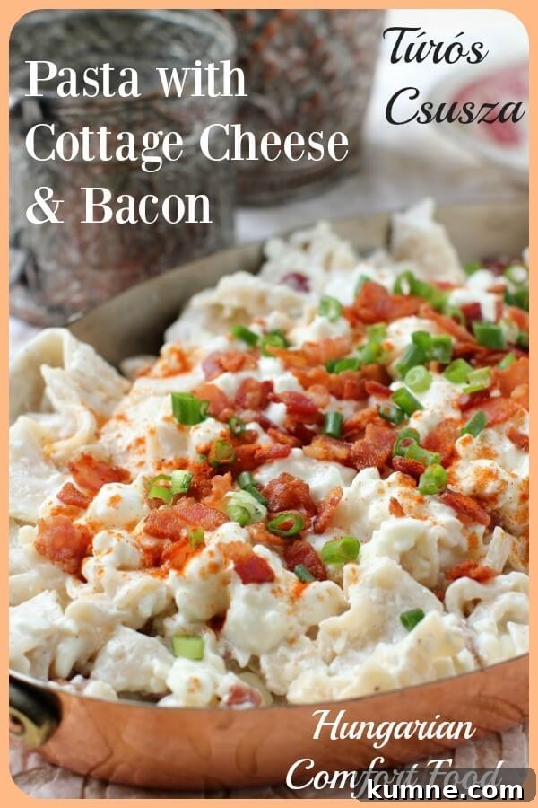 Túrós Csusza Recipe: Traditional Hungarian Cottage Cheese Pasta 9 Túrós Csusza banner (Turos Csusza)