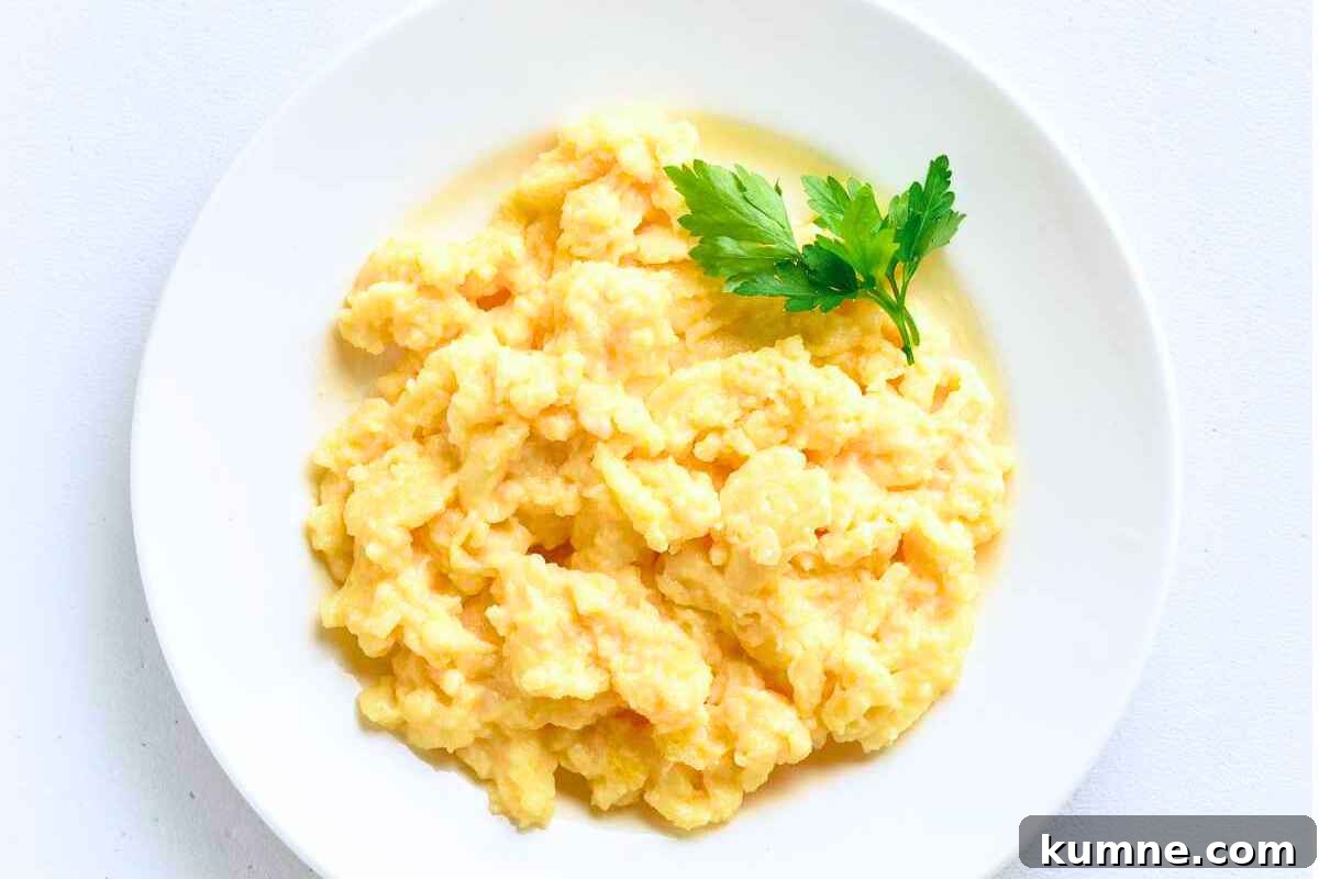 10 Air Fryer Egg Recipes to Transform Your Breakfast Routine 4 a plate of scrambled eggs