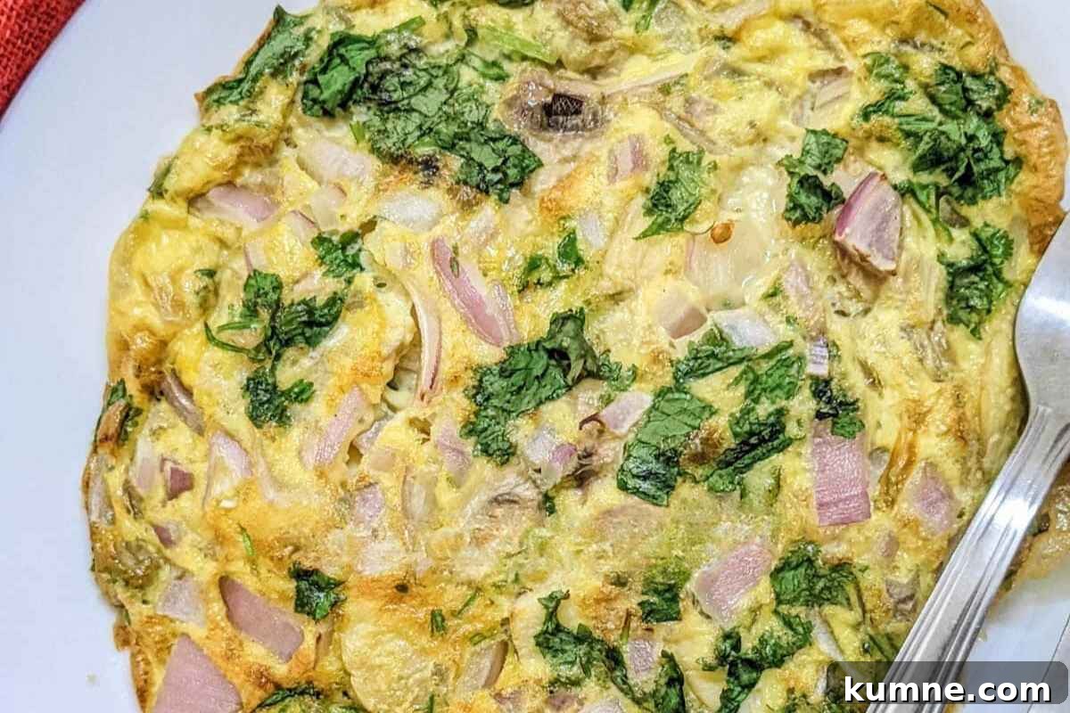 10 Air Fryer Egg Recipes to Transform Your Breakfast Routine 6 Omelette in a plate