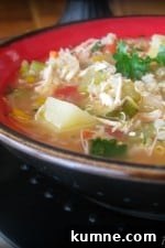 Comforting Chicken and Quinoa Stew with Vegetables 2 A bowl of hearty chicken stew with quinoa.