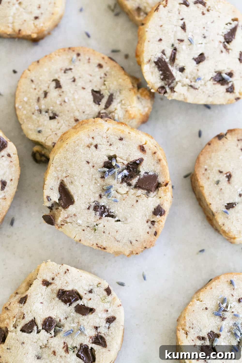 lavender and chocolate cookies, made from cookie mix in a jar