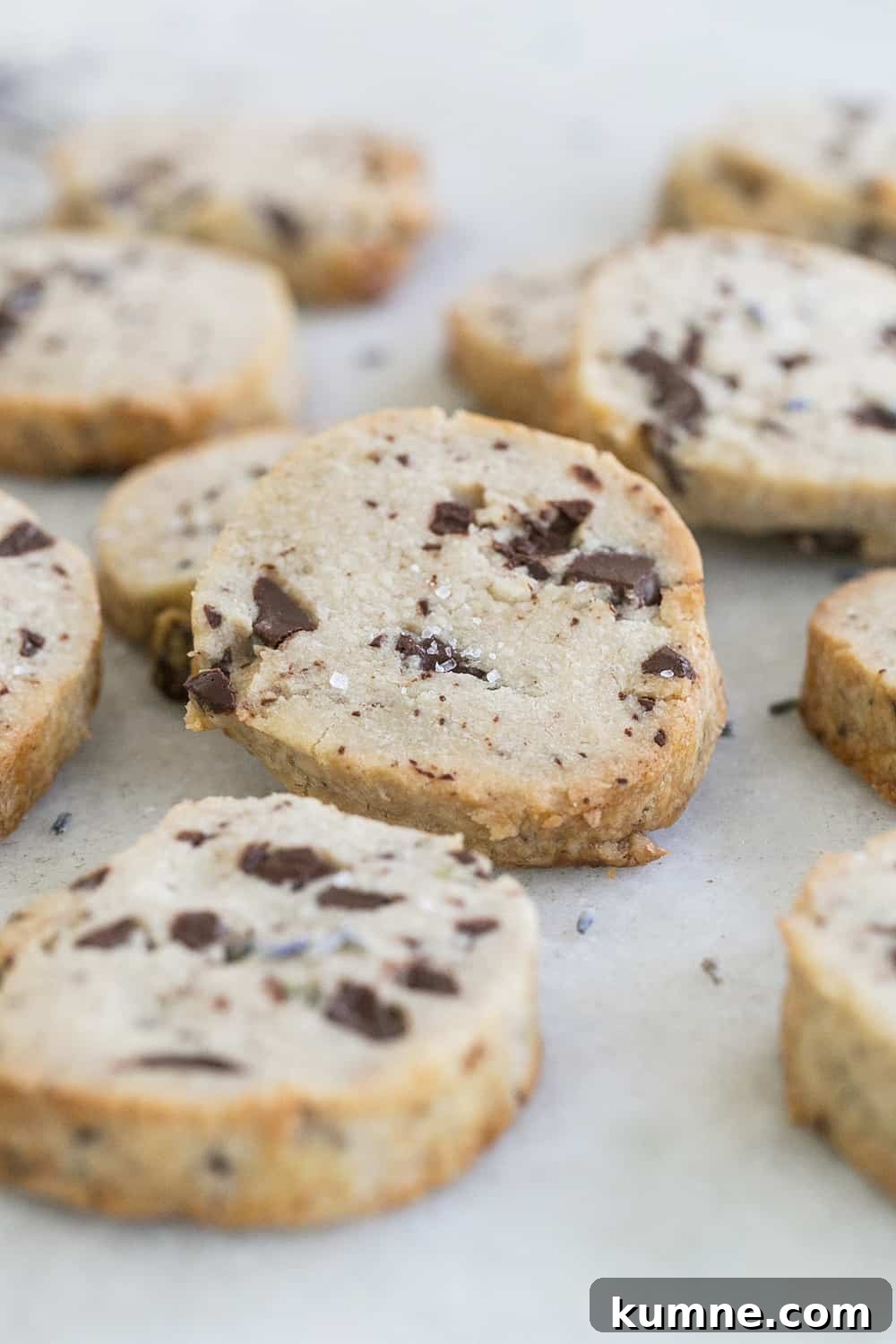 close up of chocolate lavender cookies