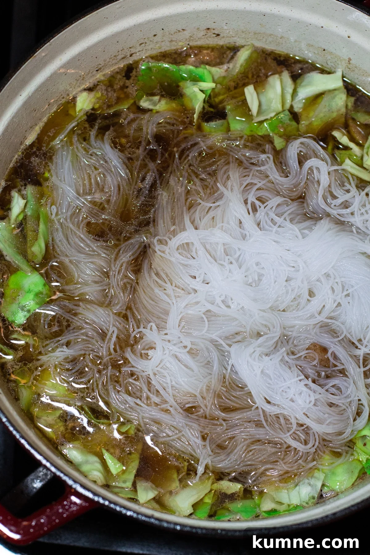 Authentic Asian Chicken Noodle Soup Recipe for Comforting Flavor 10 Pot of homemade chicken noodle soup with mei fun noodles and bok choy.