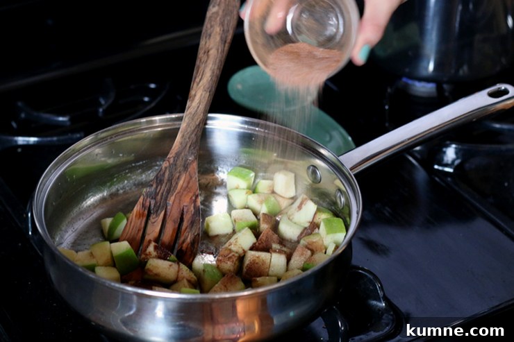 Apple Oatmeal Brulee Spices