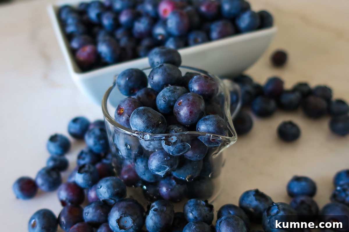 20+ Gluten-Free Blueberry Recipes for Delightful Desserts and Snacks 2 Fresh blueberries displayed in a glass jar and white bowl—perfect for gluten-free baking or smoothies
