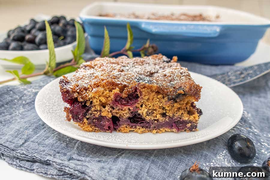 20+ Gluten-Free Blueberry Recipes for Delightful Desserts and Snacks 11 slice of buckle cake studded with blueberries and dusted with powdered sugar on a dessert plate