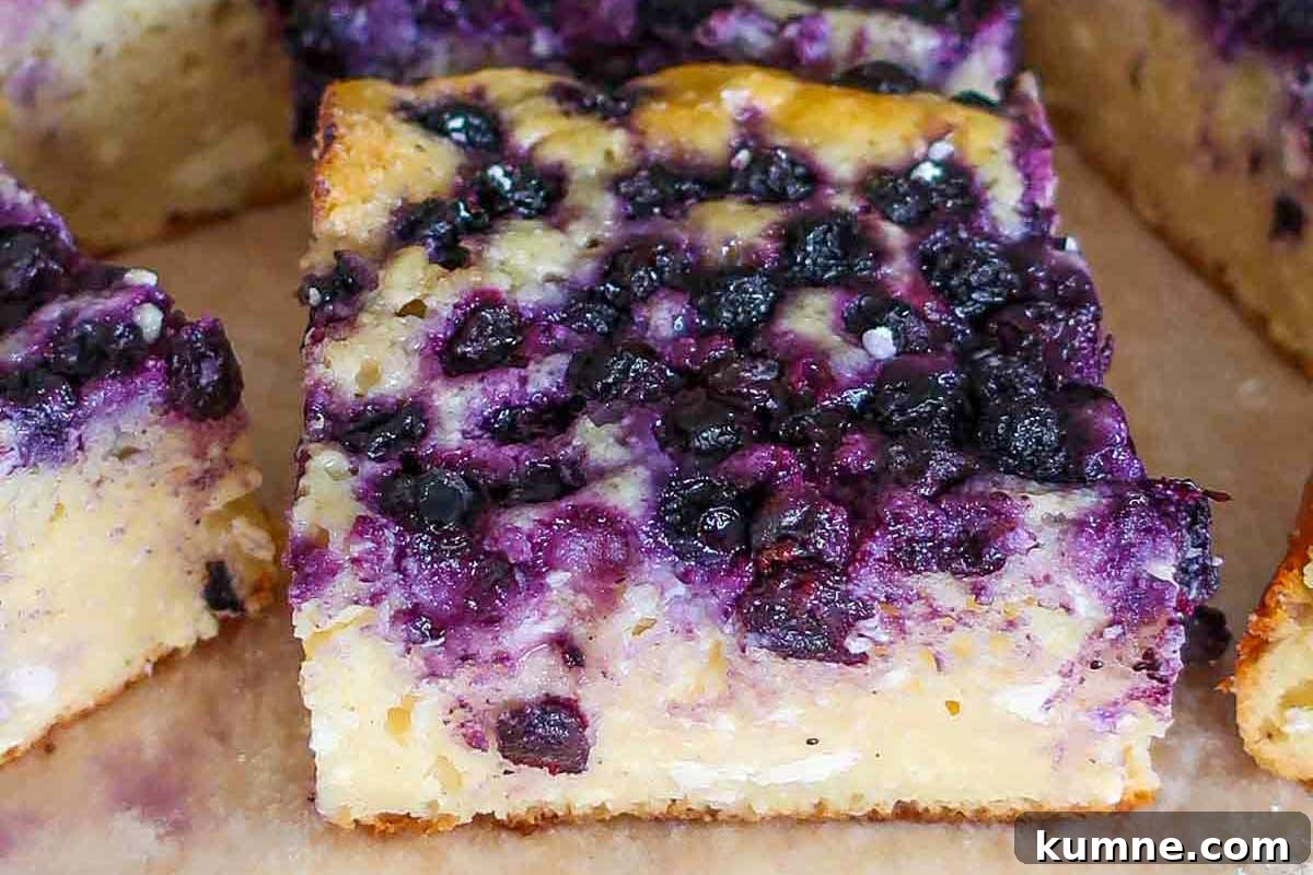 20+ Gluten-Free Blueberry Recipes for Delightful Desserts and Snacks 12 Close-up of a slice of Russian cottage cheese cake on a plate, packed with juicy blueberries and a creamy, tender texture.