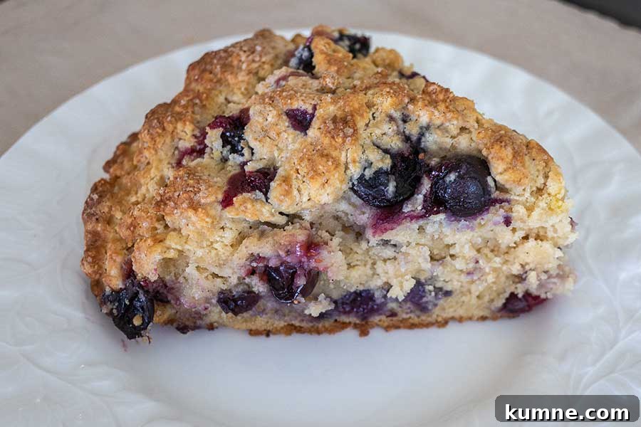 20+ Gluten-Free Blueberry Recipes for Delightful Desserts and Snacks 13 close up of a gluten free blueberry scone on a plate showing buttery texture