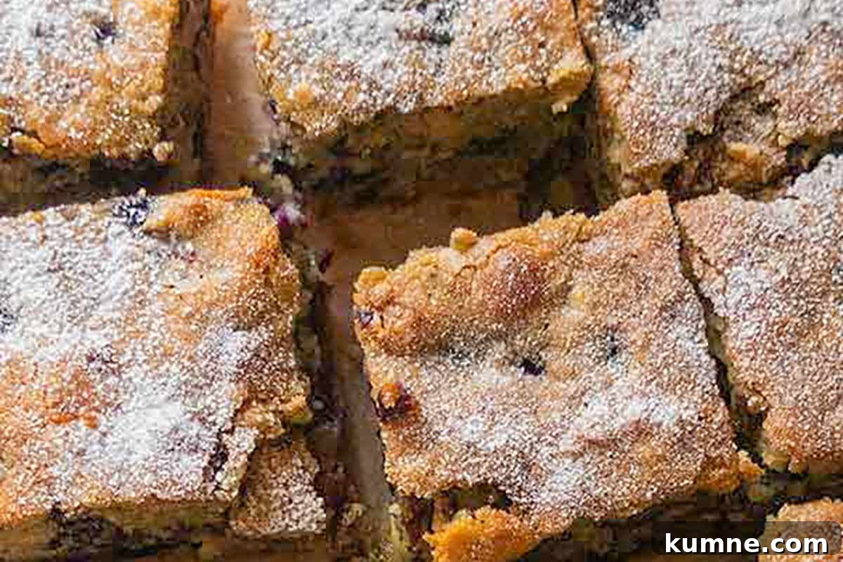 20+ Gluten-Free Blueberry Recipes for Delightful Desserts and Snacks 15 Blueberry breakfast cake sliced into squares and lightly dusted with powdered sugar, displayed on a rustic wooden board—moist, golden, and studded with juicy blueberries