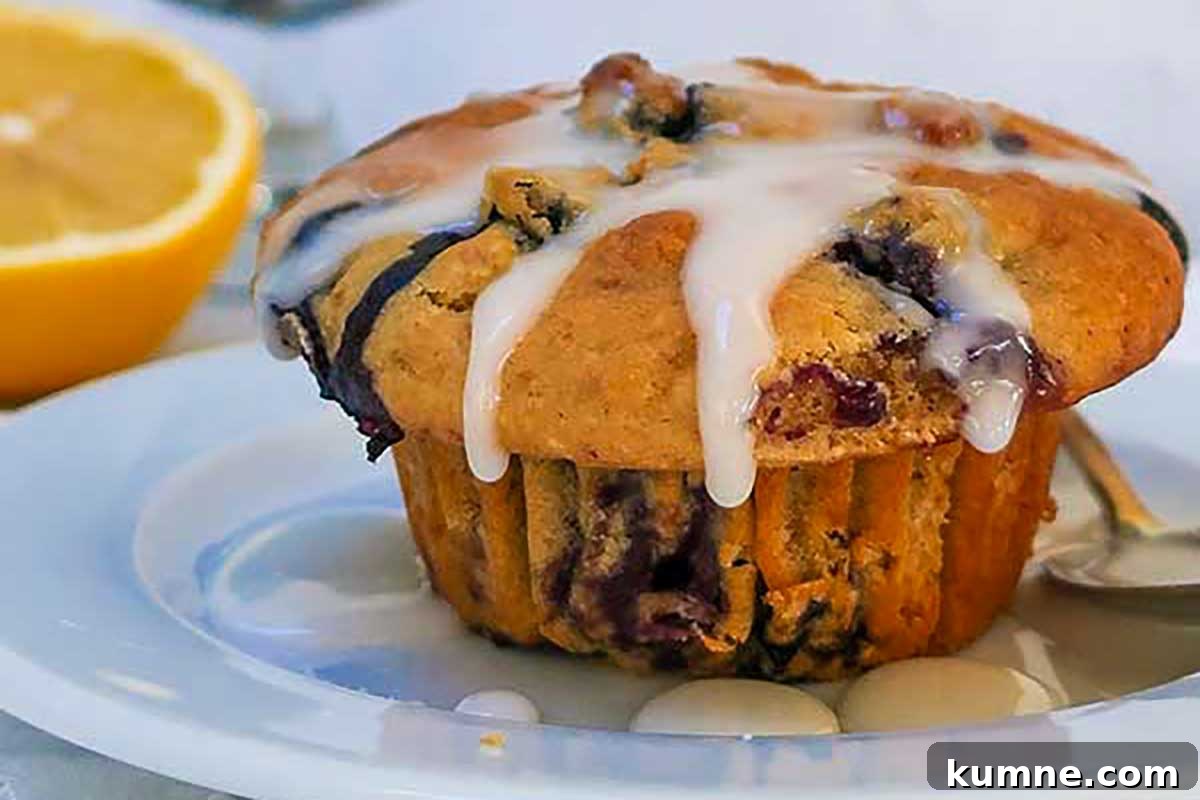 20+ Gluten-Free Blueberry Recipes for Delightful Desserts and Snacks 17 A light, fluffy muffin studded with juicy blueberries and drizzled with glossy lemon glaze, served on a plate—bright, fresh, and full of flavor