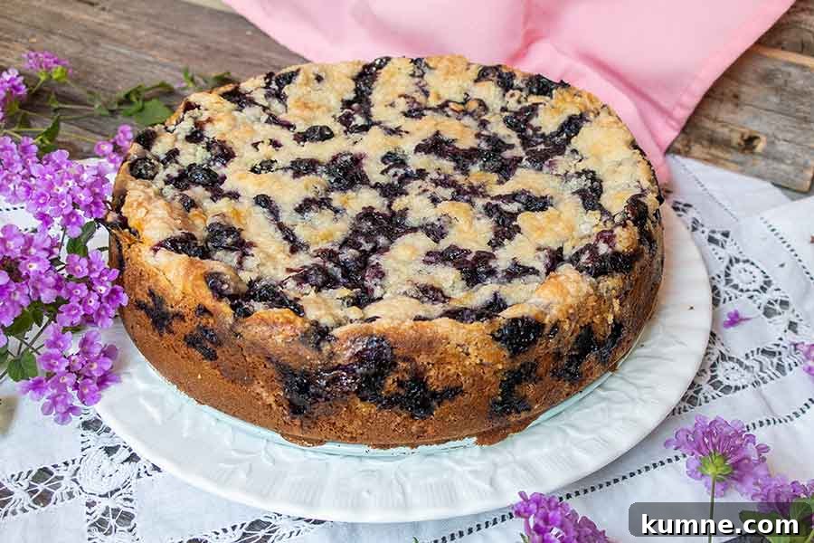 20+ Gluten-Free Blueberry Recipes for Delightful Desserts and Snacks 19 whole blueberry cream cheese coffee cake on a cake platter studded with many blueberries