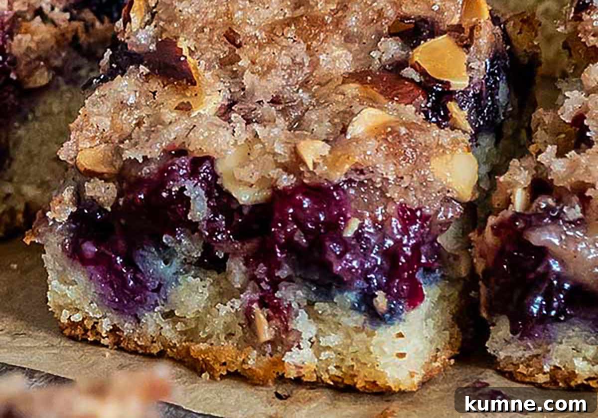 20+ Gluten-Free Blueberry Recipes for Delightful Desserts and Snacks 3 Close-up of a slice of blueberry streusel cake on a plate, with a juicy, pudding-like blueberry filling visible beneath the golden, crumbly topping.