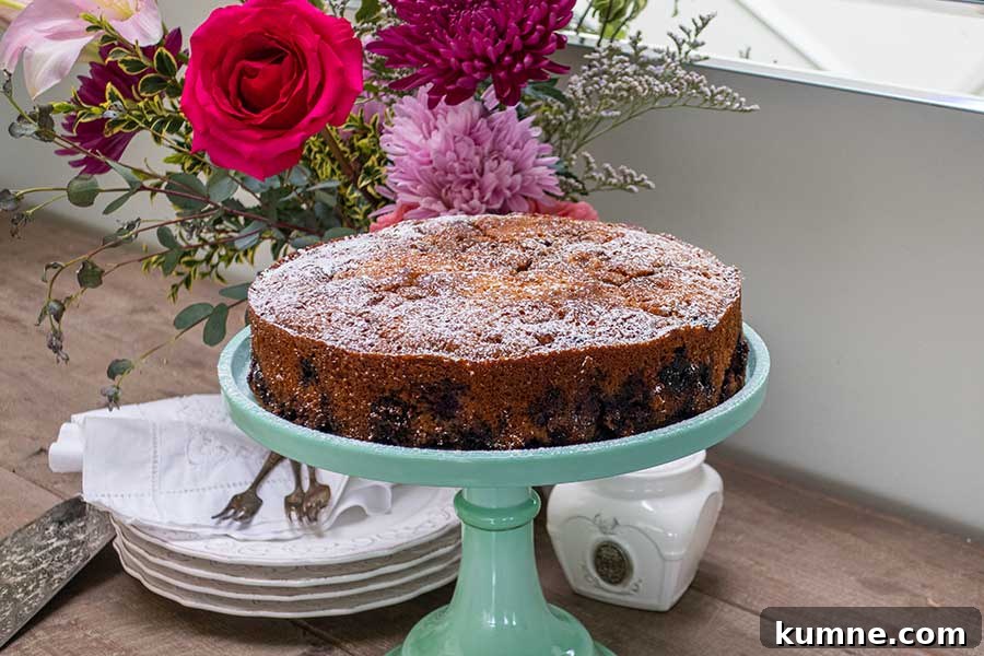 20+ Gluten-Free Blueberry Recipes for Delightful Desserts and Snacks 6 whole snacking blueberry cake on a cake platter dusted with powdered sugar with desert plates and forks