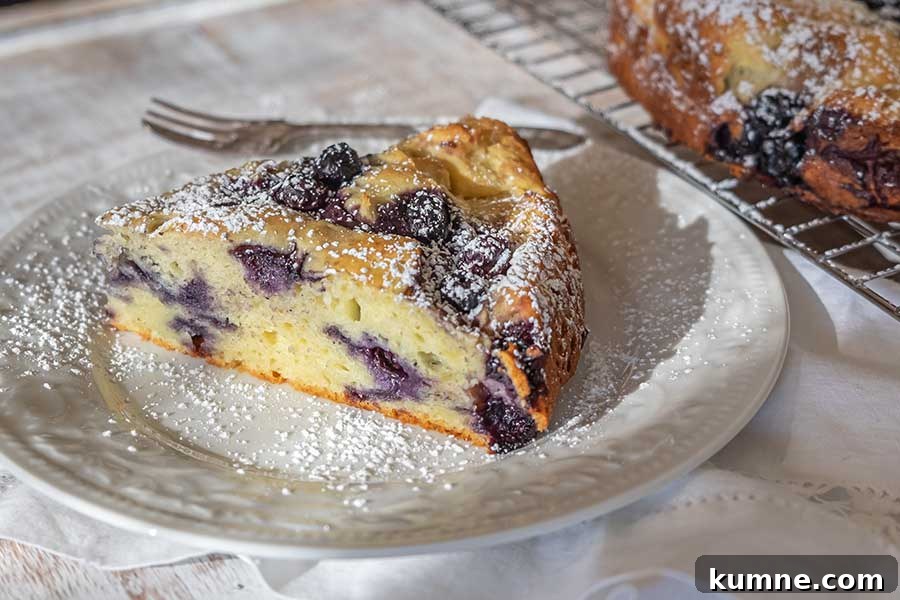 20+ Gluten-Free Blueberry Recipes for Delightful Desserts and Snacks 8 ricotta blueberry breakfast cake on a dessert platter dusted with powdered sugar