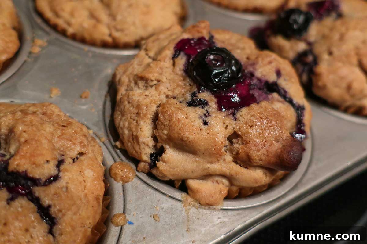 20+ Gluten-Free Blueberry Recipes for Delightful Desserts and Snacks 9 close up of one baked blueberry walnut muffin in a muffin pan oozing with blueberry sauce