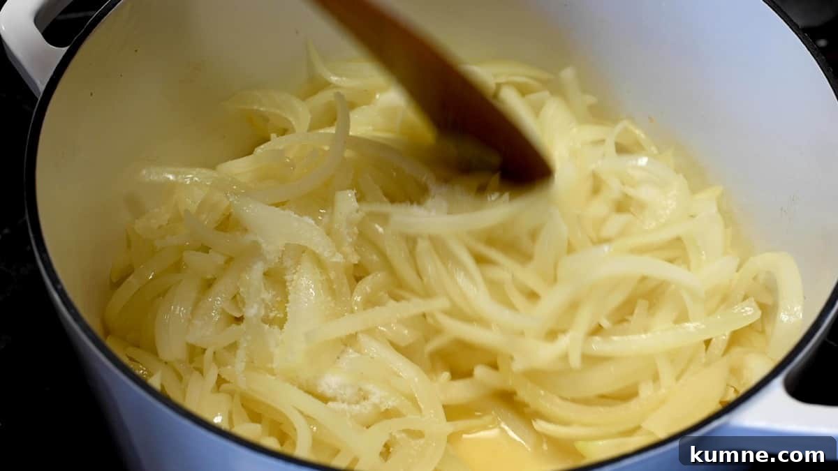 stirring sugar and salt into onions