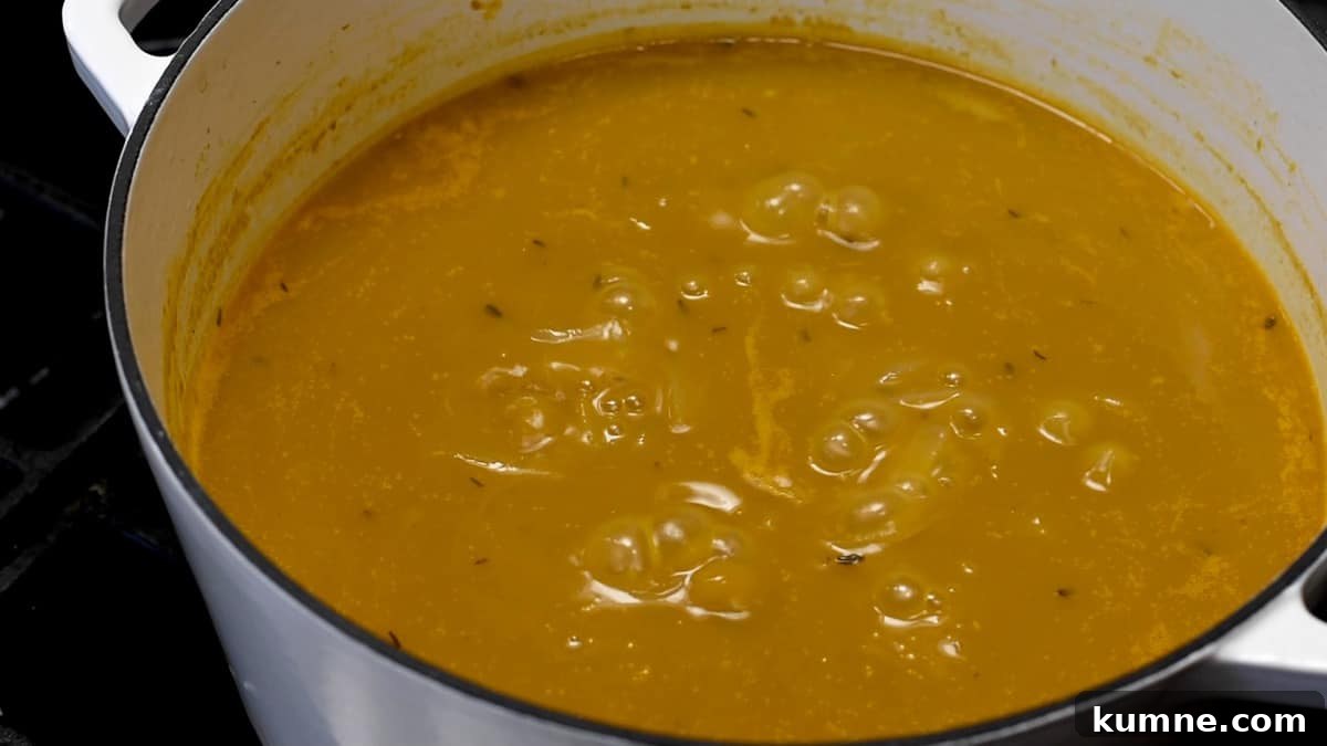 simmered soup