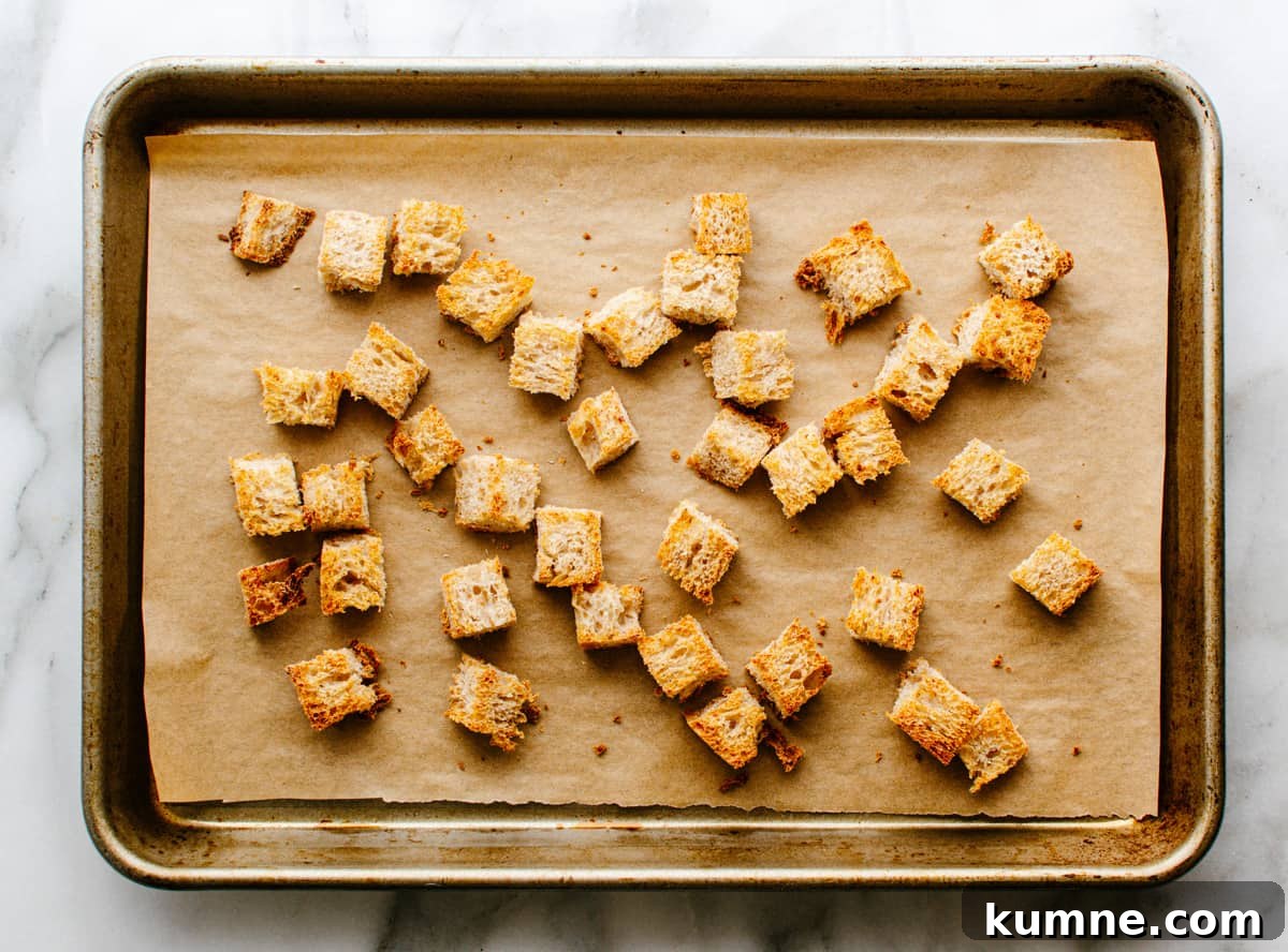 toasted bread cubes