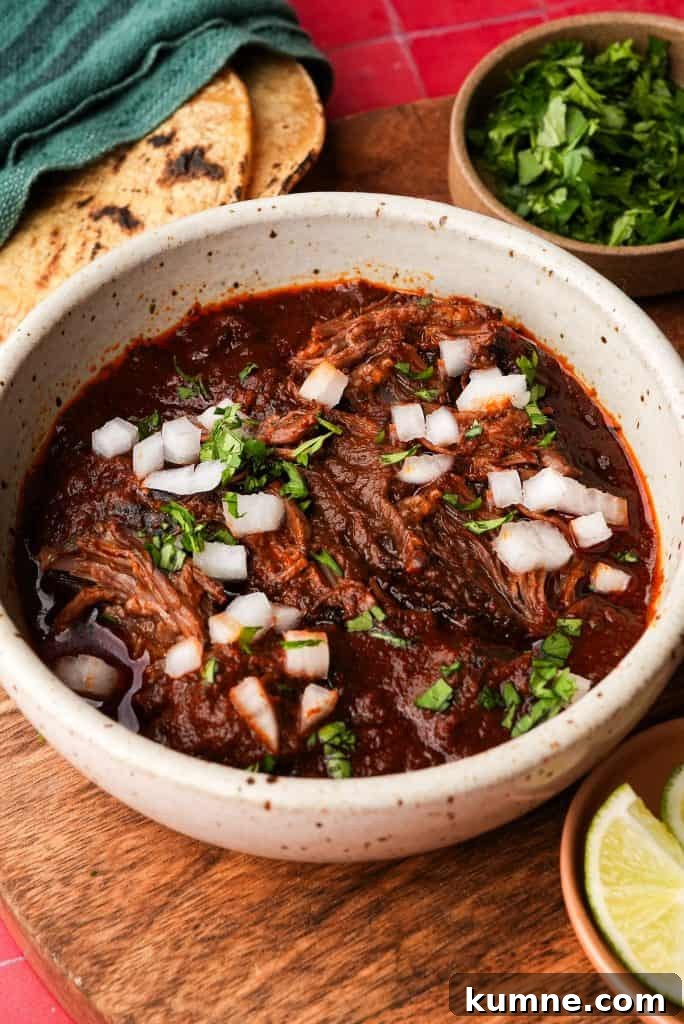 consommé Bowl of shredded beef birria in rich consommé topped with chopped onion and cilantro, served with tortillas and lime.