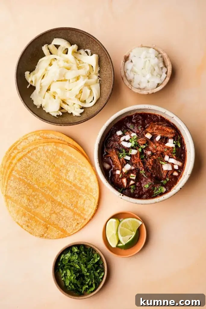 ingredients for birria tacos Ingredients for birria tacos including tortillas, shredded beef birria, cheese, chopped onion, cilantro, and lime wedges.