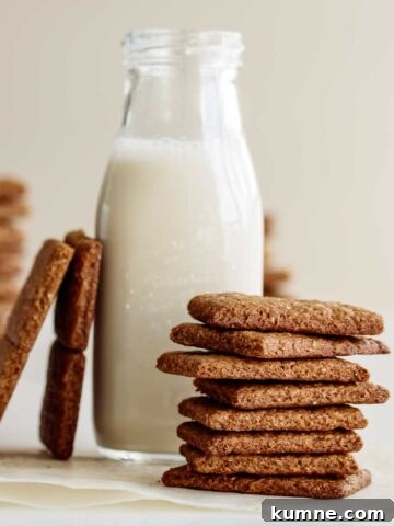 A stack of vegan graham crackers and a bottle of oat milk.