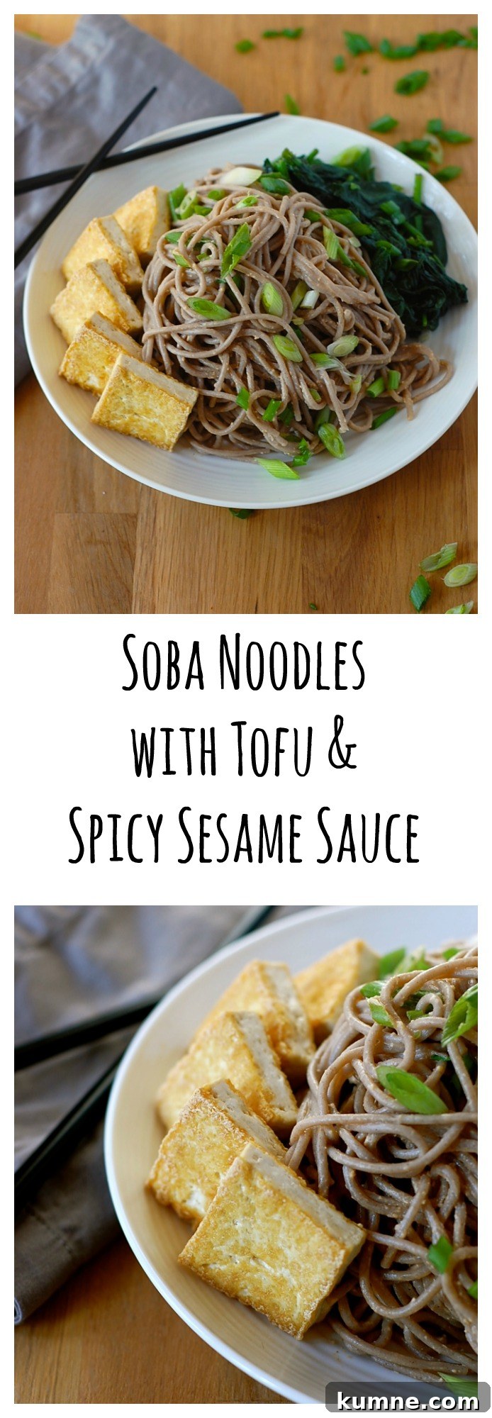 Spicy Sesame Tofu Soba Noodles — Vegan & Gluten-Free 10 Crispy tofu. A pile of noodles. Spicy sauce. No one will believe this one-bowl is actually vegan and gluten-free!