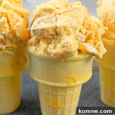No-Churn Pumpkin Ice Cream with Gingersnap Cookies 7 Close up image of homemade pumpkin ice cream in ice cream cones