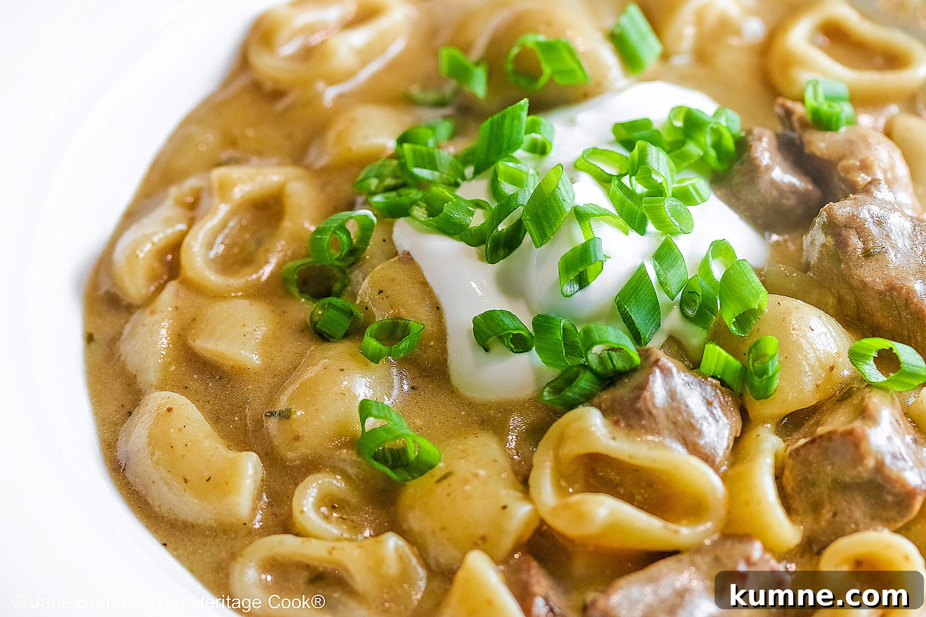 Gluten-Free Homemade Beef Stroganoff Recipe for Dinner 2 Wide rimmed white bowl filled with Easy Homemade Beef Stroganoff with pasta, beef, and sauce, topped with a dollop of sour cream and sprinkled with chopped green onions, sitting on a black background © 2025 Jane Bonacci, The Heritage Cook.