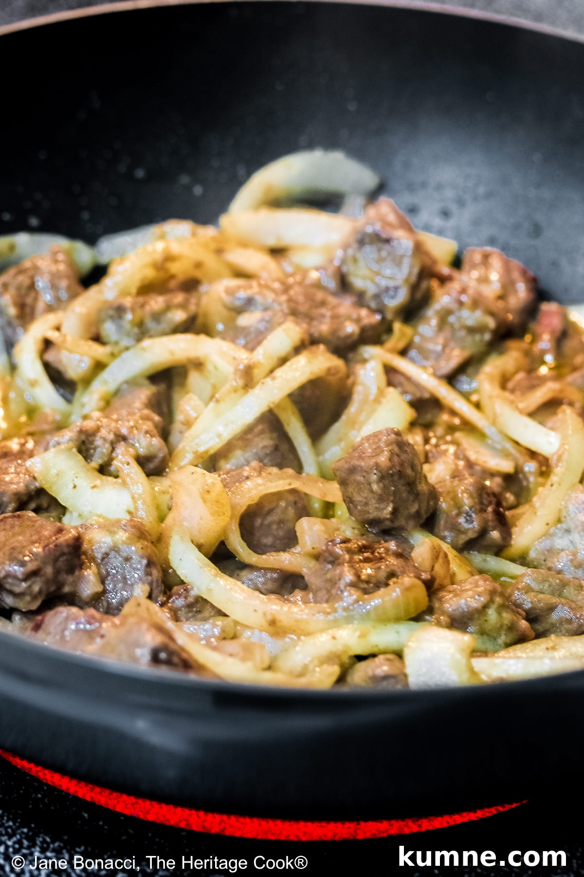 Gluten-Free Homemade Beef Stroganoff Recipe for Dinner 3 Wide rimmed white bowl filled with Easy Homemade Beef Stroganoff with pasta, beef, and sauce, topped with a dollop of sour cream and sprinkled with chopped green onions, sitting on a black background © 2025 Jane Bonacci, The Heritage Cook.
